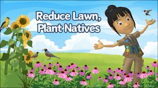 A WonderGrove for Birds: Reduce Lawns, Plant Natives @WonderGroveKids