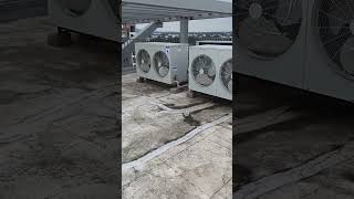 Bluestar Ductable Ac R410 New model #shortvideo #youtube #imranraj #shorts #viral #trending