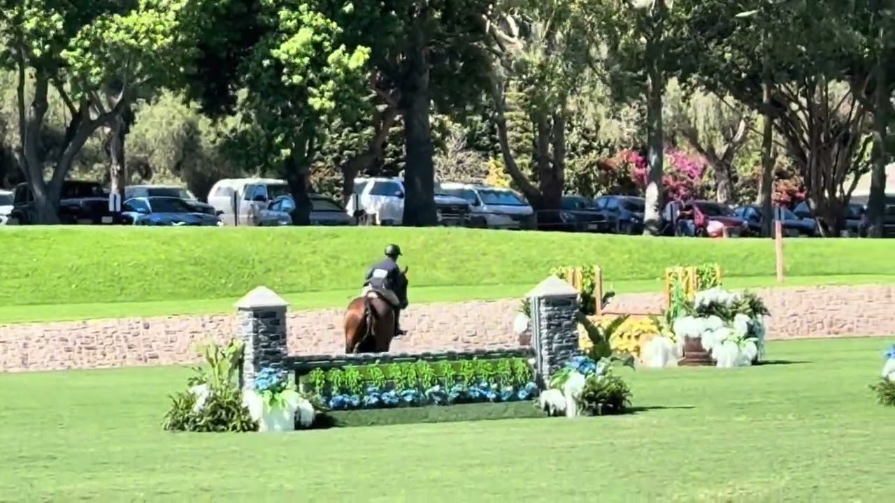 MNF application video