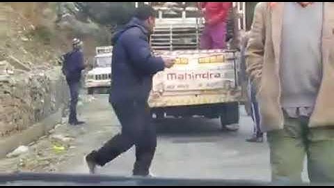 Wild leopard plays with people in Kullu (Himachal Pradesh)