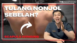 Solution To Scapula Winging Problem Unbalanced Shoulder Blades
