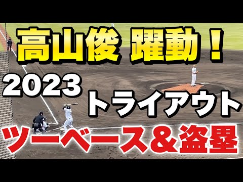 【合同トライアウト】高山俊、右中間破るツーベース＆まさかの盗塁決める大活躍を魅せ猛アピールに大成功！in鎌ヶ谷スタジアム2023年11月15日