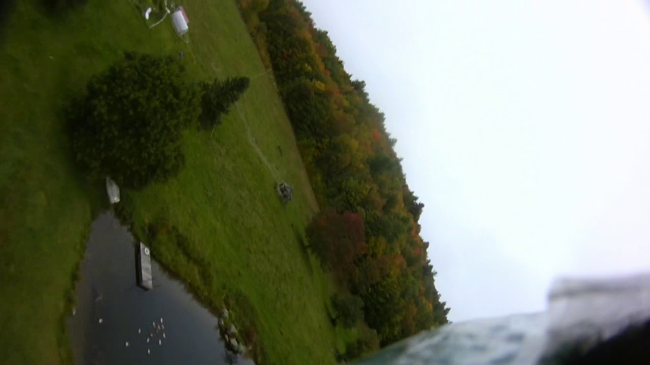 Wing Wednesday #1 Defiant 28 shorts