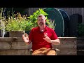 ShapeUp - Client Testimonial 2