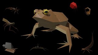 Natterjack Toad (bonus track)