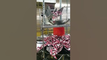 Bosch SVE 2510 VFFS (vertical,form, fill, seal)bagger.