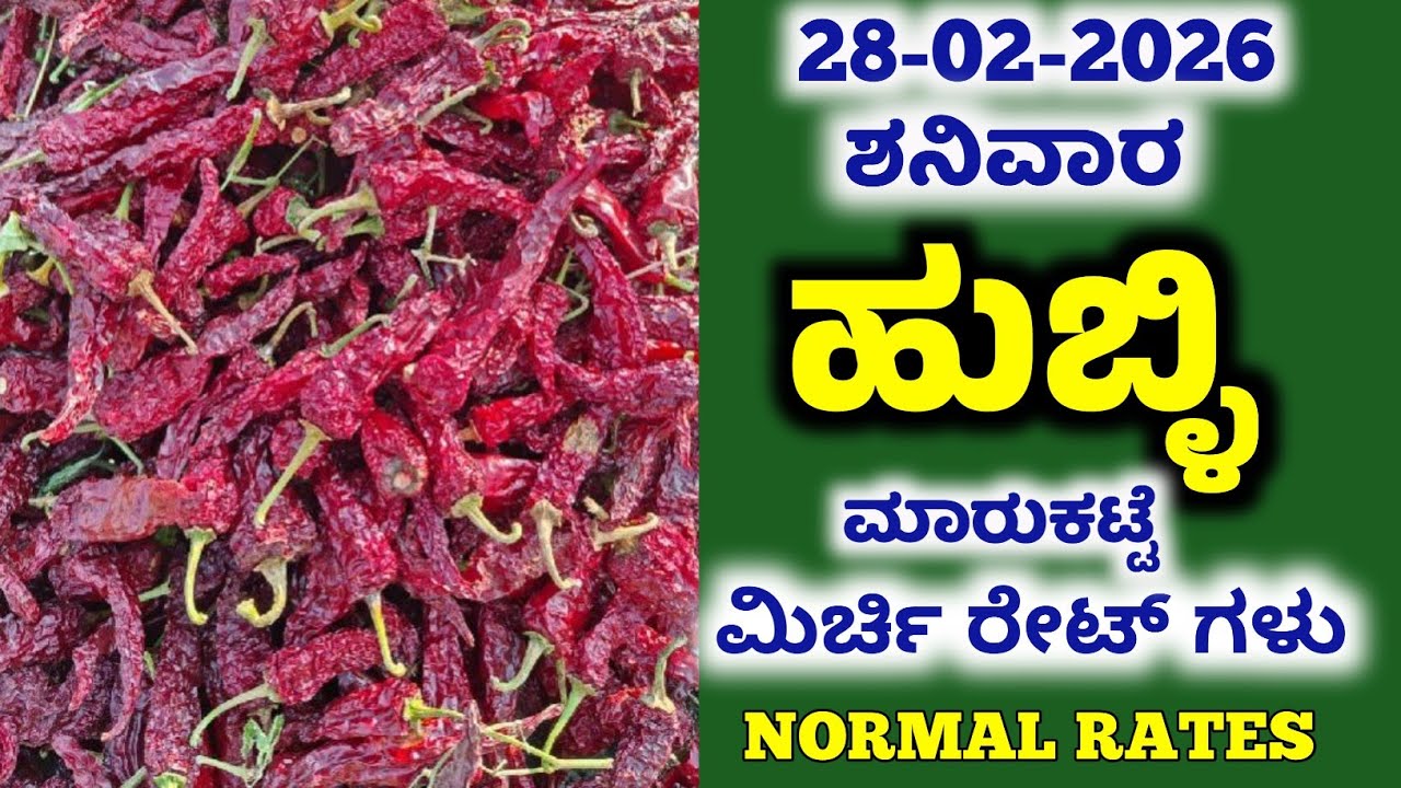 28-02-2026  Hubli Market Mirchi Rates | Today Mirchi Rate | Hubli Market | Byadgi Market #mirchirate