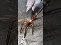 Laser machine technology, Moment