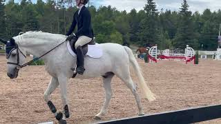1.0m Junior Jumper Charlotte Parkes + Corokato PS at Lake Placid Horse Show