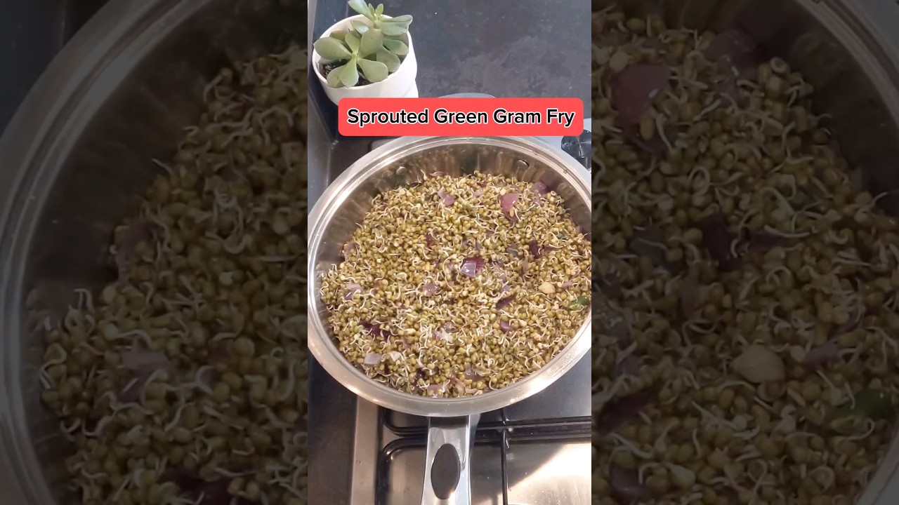 Sprouted Green Gram Fry Recipe 