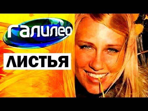 Вопрос: Почему листья осенью меняютт цвет?