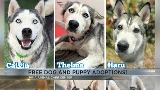 PACC offering free adoptions before Christmas
