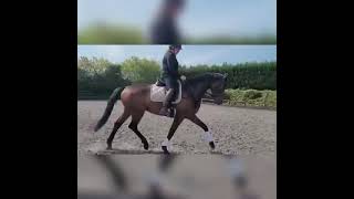 Advert reference - 309762