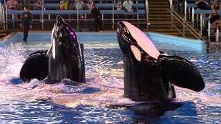 Orca Encounter (Full Show)  SeaWorld San Antonio  September 18, 2022