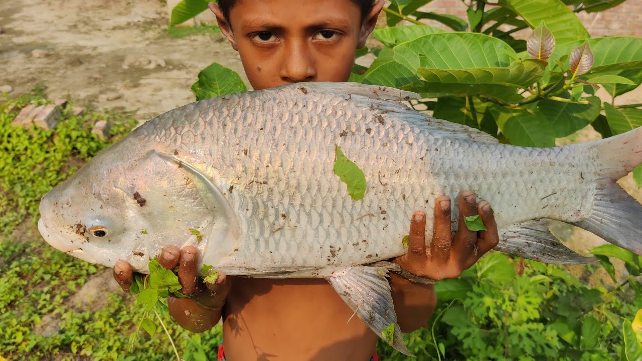Asian Traditional Fishing | Fishing in Village by ABTVbd