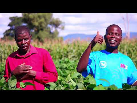 Paradzai Mesi Njerama Boys Zuva Rabuda 2021 Art Of Eaglefocus Images 263735007845 