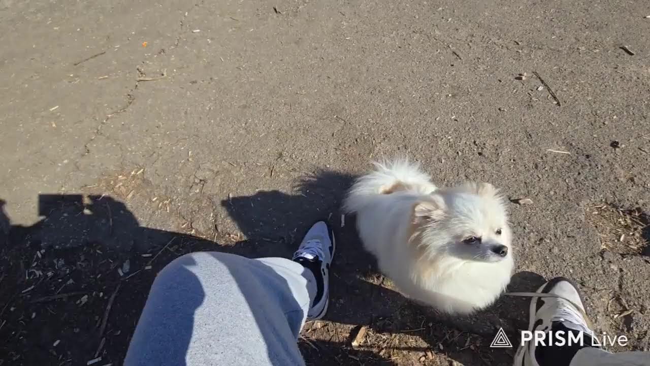 Live streaming of Натуралката