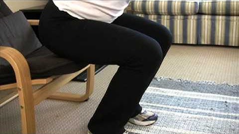 BruinActive - Individual Exercises - Lower Body - Squat 3 Pulse, UCLA