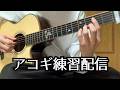 【作業用BGM】アコギ練習配信｜MOROHA「花向」vol.250