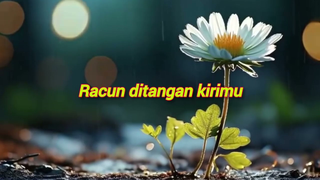 Madu Dan Racun - Bill \u0026 Brod
