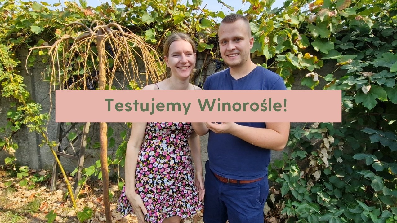 TEST ODMIAN WINOROŚLI - ZIELONA PARA 🍇