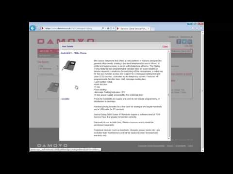 How to use the Damovo Client Service Portal New User