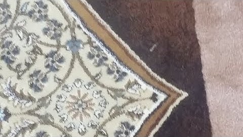 القارئ / مؤنس عبدالموجود صلاة التراويح 23 رمضان 1439