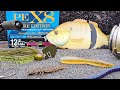 Bass fishing gear review the hottest new baits rods and reels