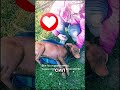 Как умная пила спасает пальцы? И история спасенного пса 🪚 #технологии #спасение