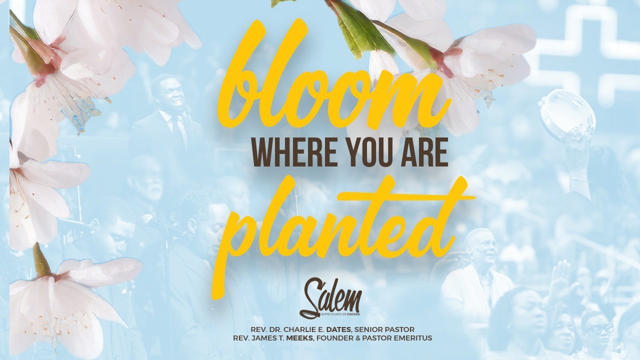 Uploads from Salem Baptist Church of Chicago