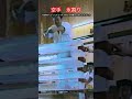 【武道・武術】父の若い頃の3段氷寸勁割りと8段氷手刀割り　紹介！！　#aikido ＃karate #martial #武道 #空手＃合気道＃筋トレ#selfdefens