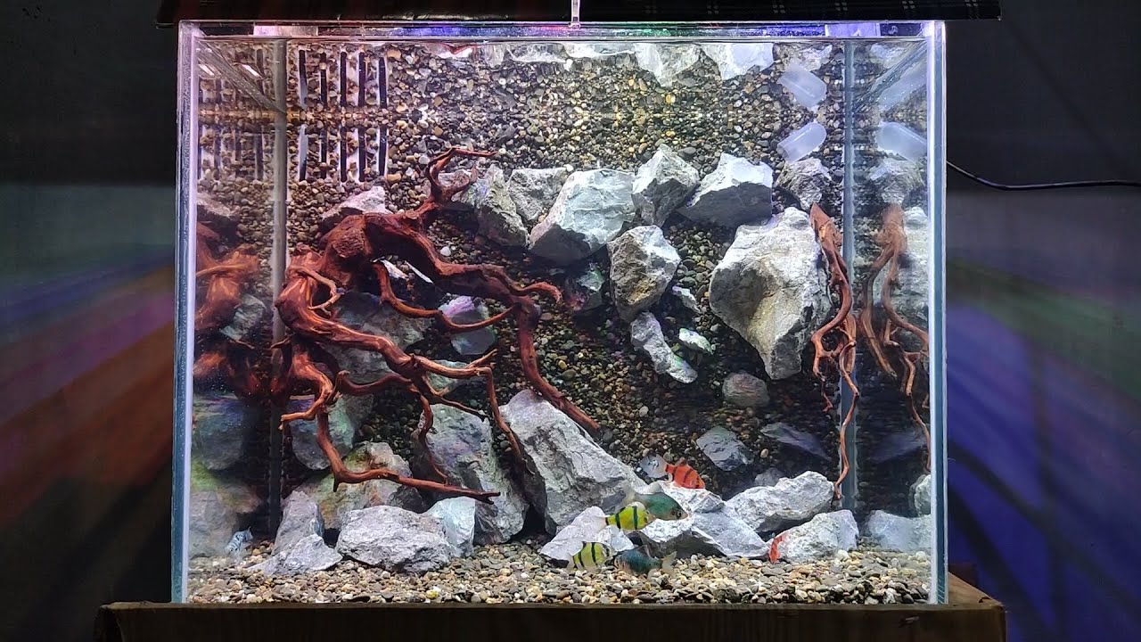 cara membuat background aquarium 3d YouTube