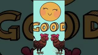 Good morning gifs clips