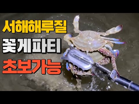 <strong>초보가능</strong> 이건 대박이지!