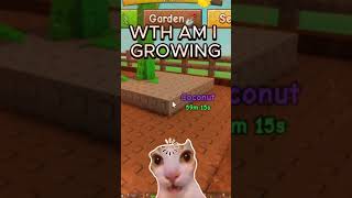 WHAT AM I GROWING  #growagarden #coconut #insane