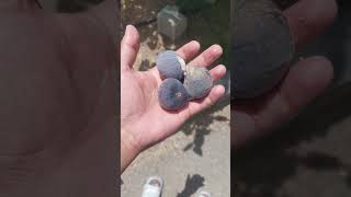 dosto ya laya ha #sisteology #duckybhai #minivlog
