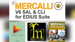 ProDAD Mercalli V6 SAL & CLI for EDIUS Suite - the best and fastest video stabilization