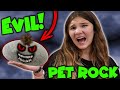 I Got A New Pet... But It&#39;s A Creepy Pet ROCK!! (Carlaylee HD Skit)