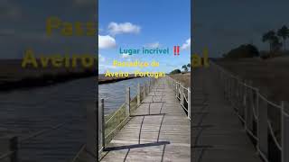 Viaje comigo para Portugal- Passadiços do Aveiro