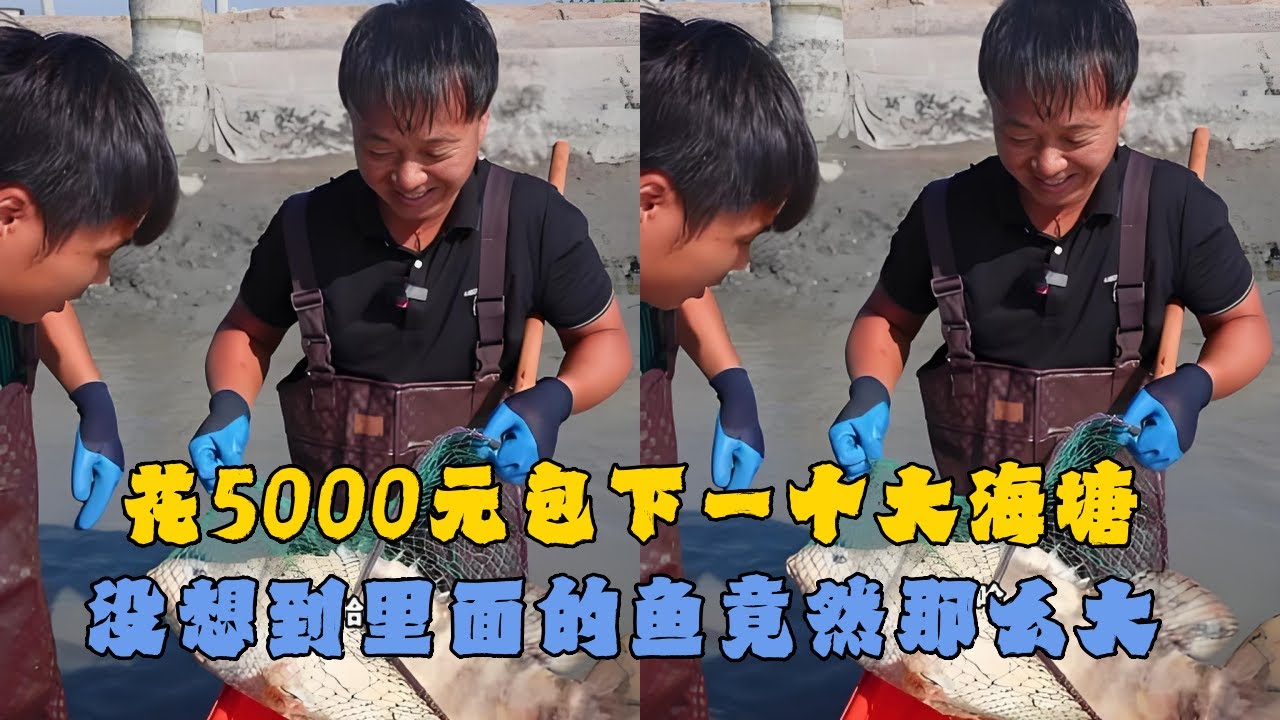 花5000元包下一个大海塘，没想到里面的鱼竟然那么大？