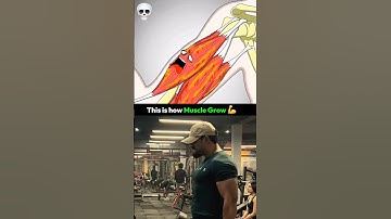 Zo groeien spieren💪#motivatie #mrolympia #bewerken #fitness #cbum #sairi #gymshorts #sportschool ...