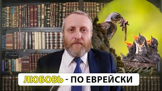 ЛЮБОВЬ ПО-ЕВРЕЙСКИ: Кого мы любим и кто любит нас?