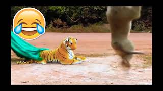 【背後にトラ】ぬいぐるみドッキリ tiger prank
