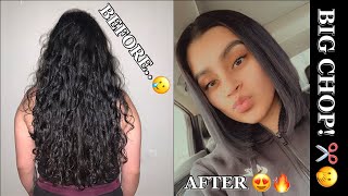 Big Chop! ️?? | I Cut My Hair