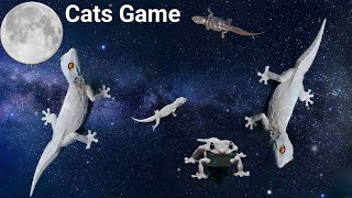 Lizard for paws|White Lizard Running Under Twinkling Stars|Cats game  screenshot 4