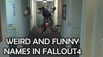Fallout 4 - Weird and Funny names