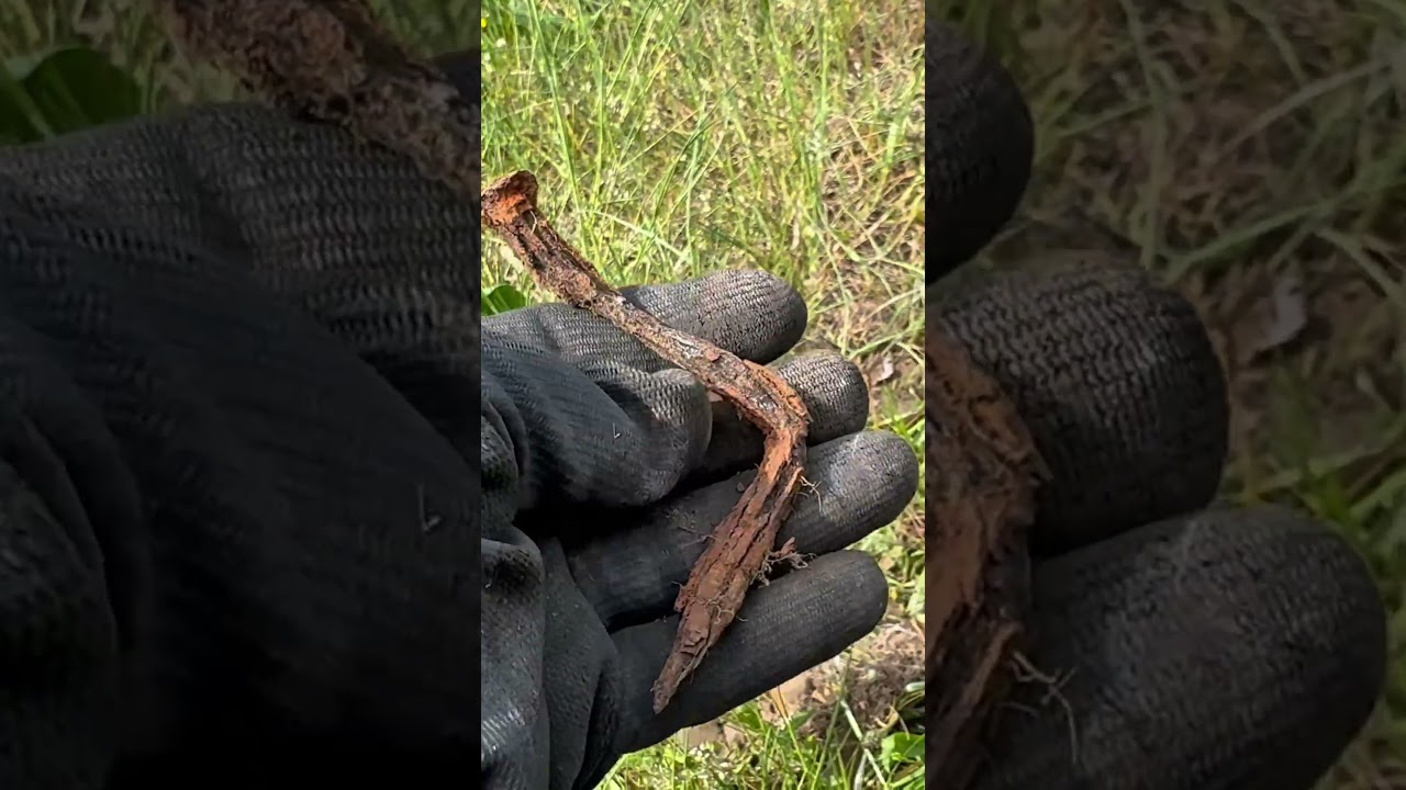 Pokey Jabby #environmentalcleanup #metaldetecting