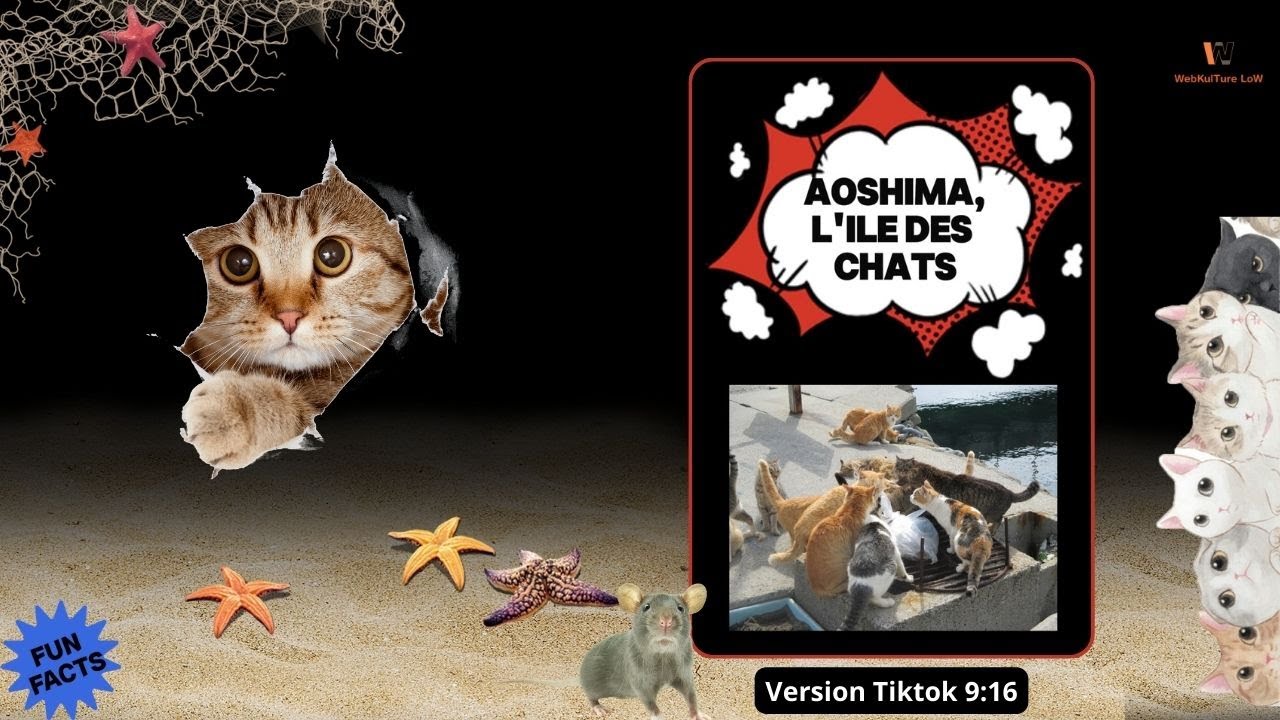 Aoshima, l'ile des chats Version Tiktok 