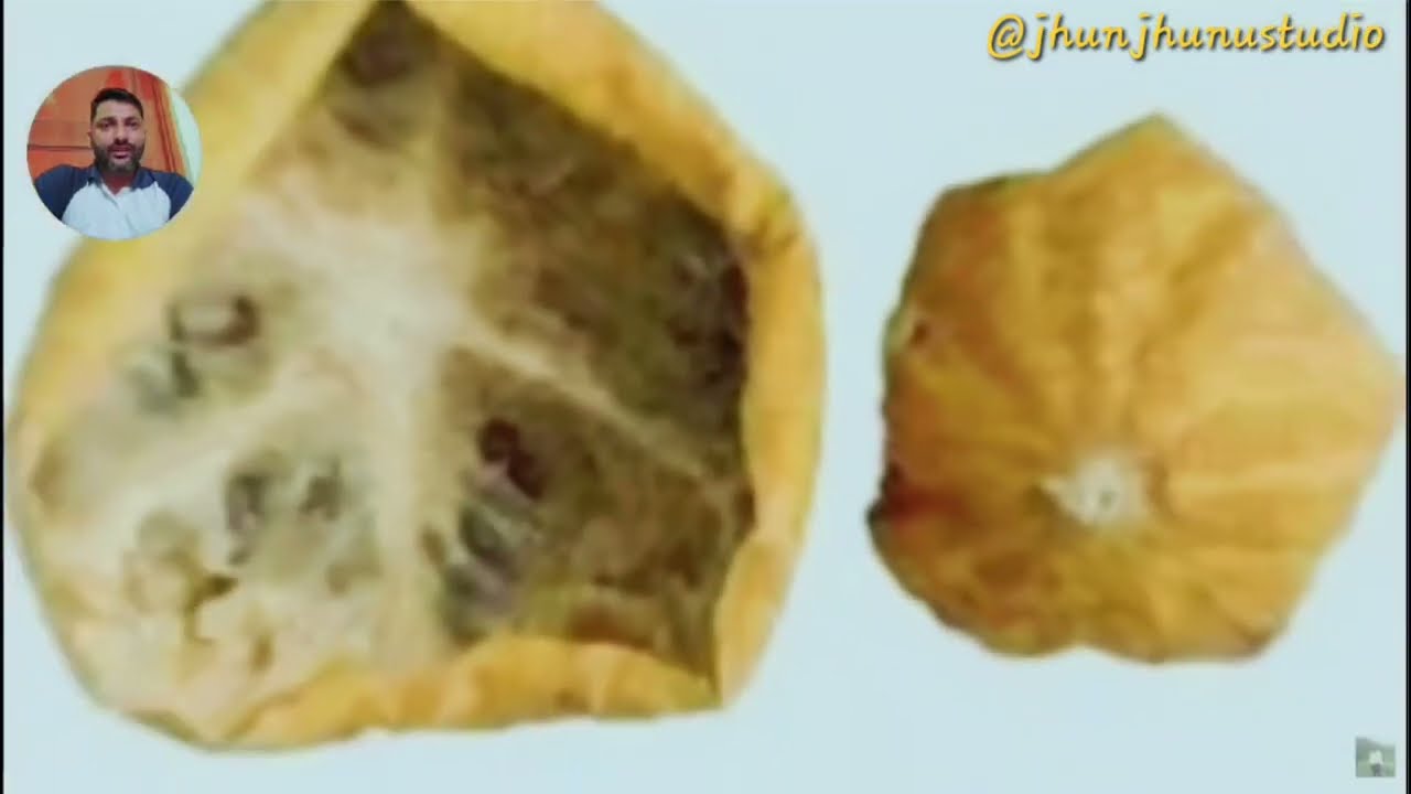 ​इंद्रायण (Indrayan) के अचूक फायदे | जड़, फल और तेल के चमत्कारी औषधीय गुण | Citrullus Colocynthis