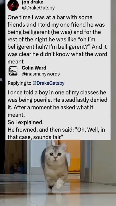 I thought I’d won—then I became his personal thesaurus.